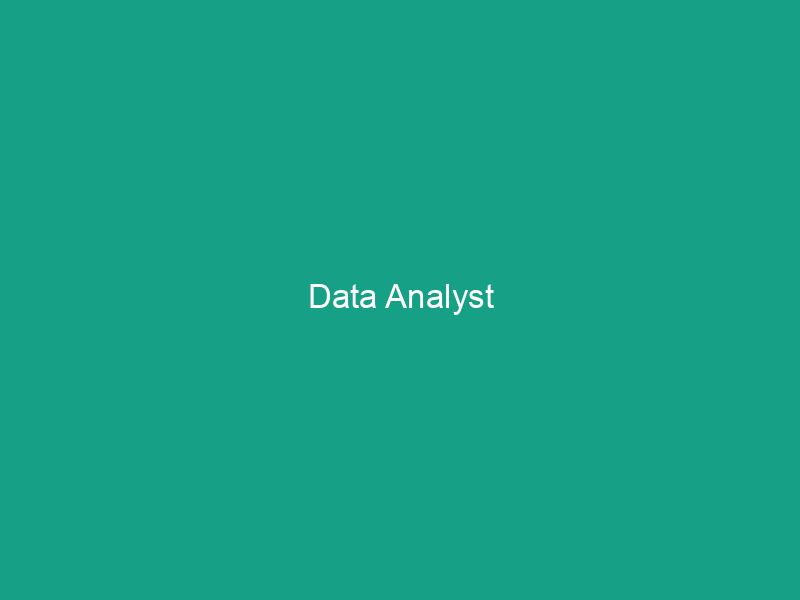 Data Analyst