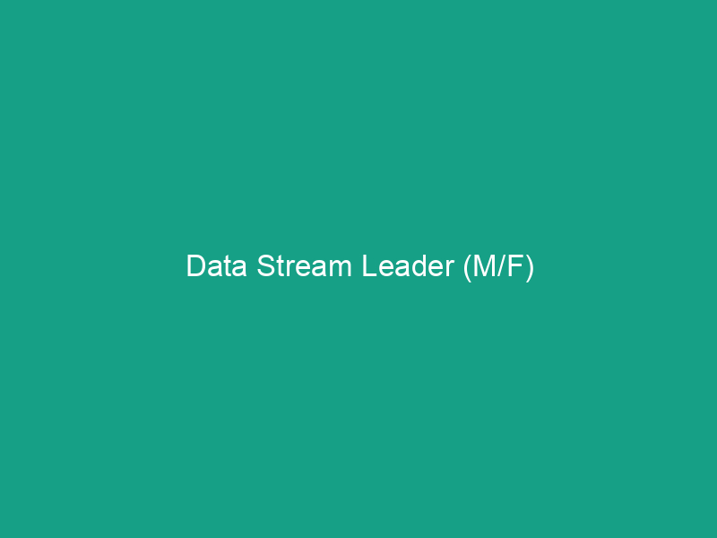 Data Stream Leader (M/F)