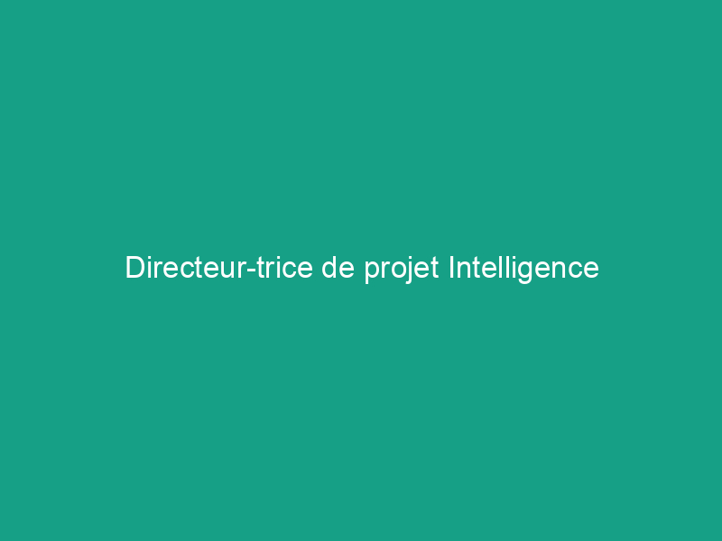 Directeur-trice de projet Intelligence Artificielle