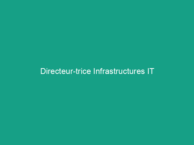 Directeur-trice Infrastructures IT