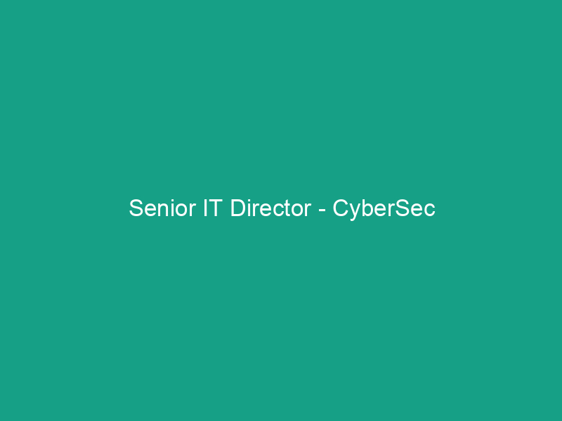 Senior IT Director – CyberSec